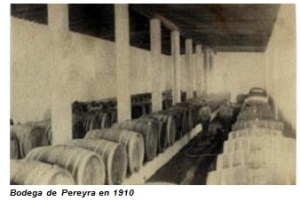 bodega Pereyra.jpg