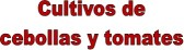 cultivos