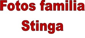 Stinga